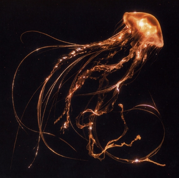 Royal Blood - Royal Blood (10th Anniversary)