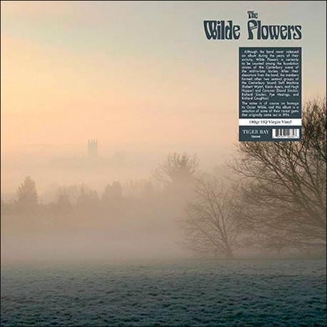 Wilde Flowers, The - The Wilde Flowers