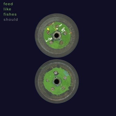 Should - Feed Like Fishes (spring Green Vinyl)