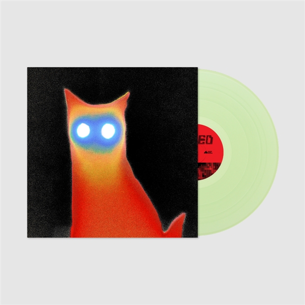 Basement - Wired (coke Bottle Clear)