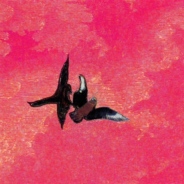 Rojas, Sebastian - En La Orilla