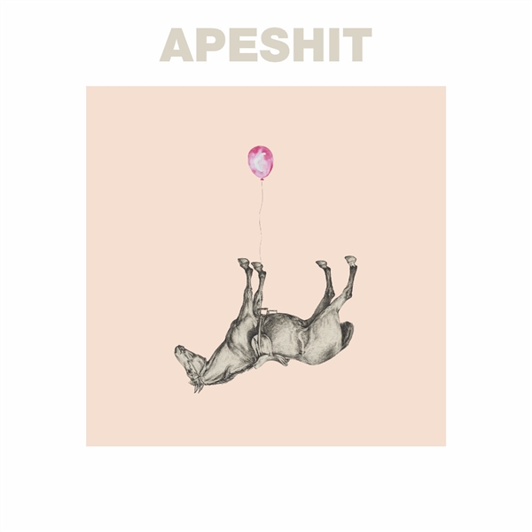 Sounds Of Animals Fighting - Apeshit