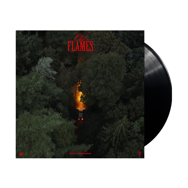 La Roux - Old Flmaes