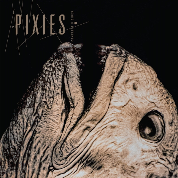 Pixies - Complete B Sides 88-97 (clear) (indie)
