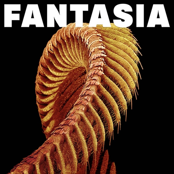 Slift - Fantasia (loser Edition)