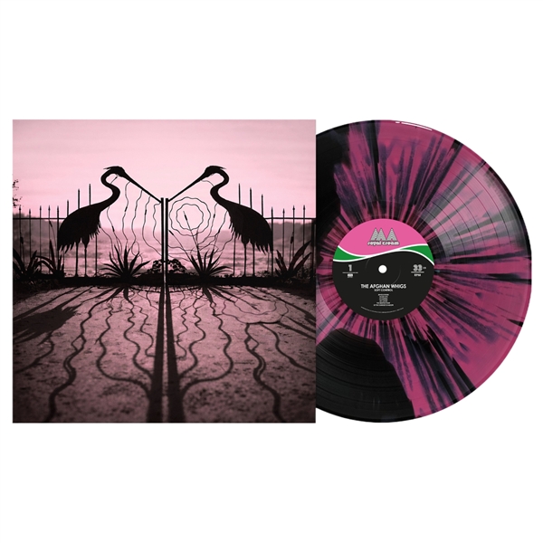Afghan Whigs - Soft Control (pink/black Splatter) (indie)