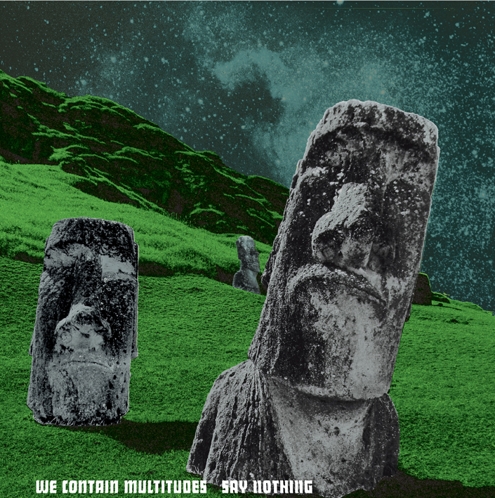 We Contain Multitudes - Say Nothing