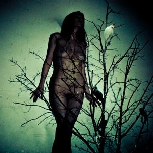 Atlas Moth - An Ache For The Distance (repress)